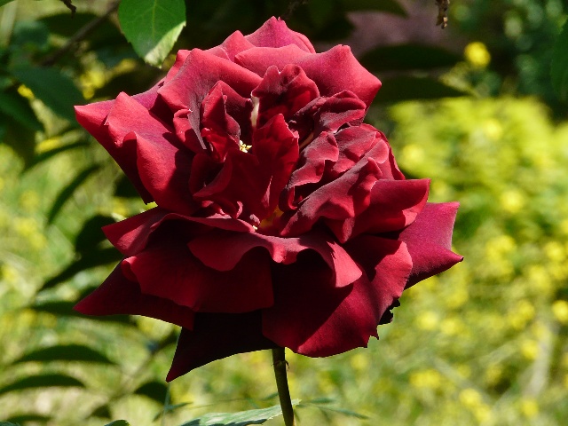 P1050048.JPG