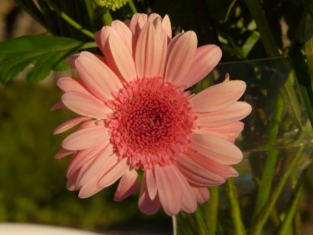 P1050527.JPG