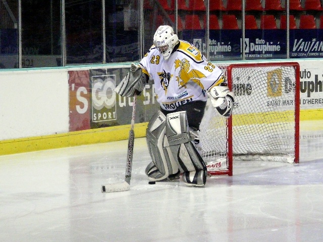 puckgoal.jpg