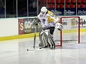 puckgoal