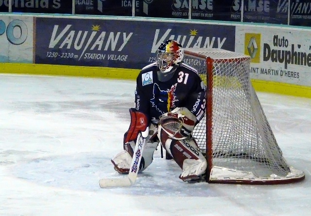 sebraibon3.jpg