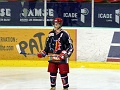 9grevillars