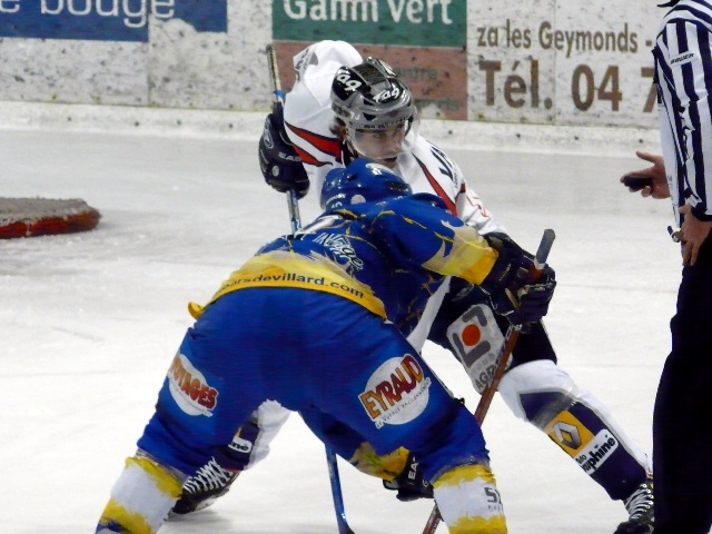 pepytartoche.jpg