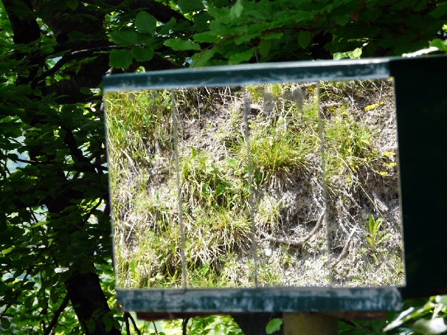 miroir.jpg