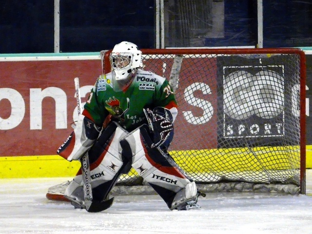 gioalcergy.jpg