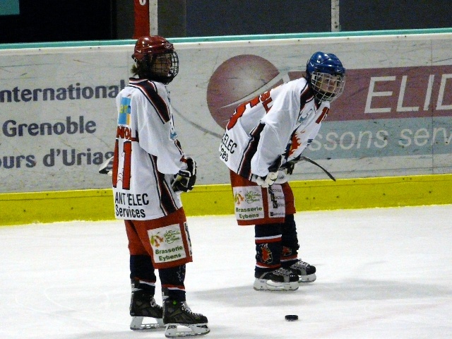 bdelles1.jpg