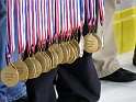 championelite